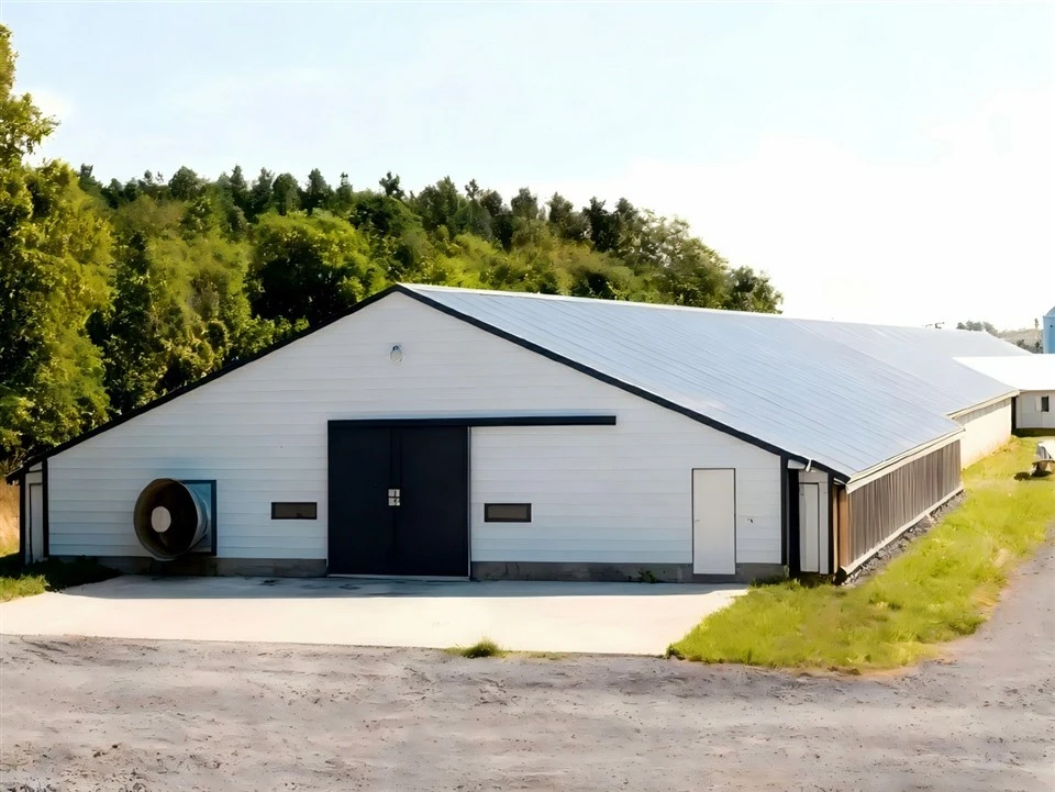 white-steel-structure-poultry-house-with-ventilation-farm